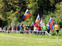 G7